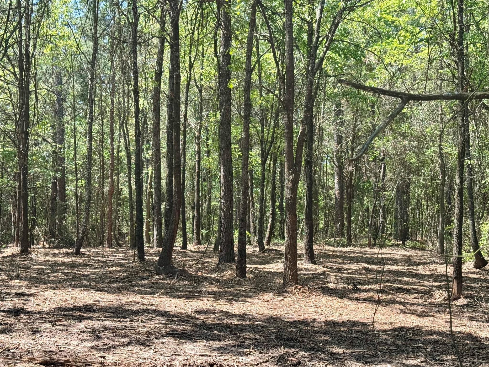 main property photo 18