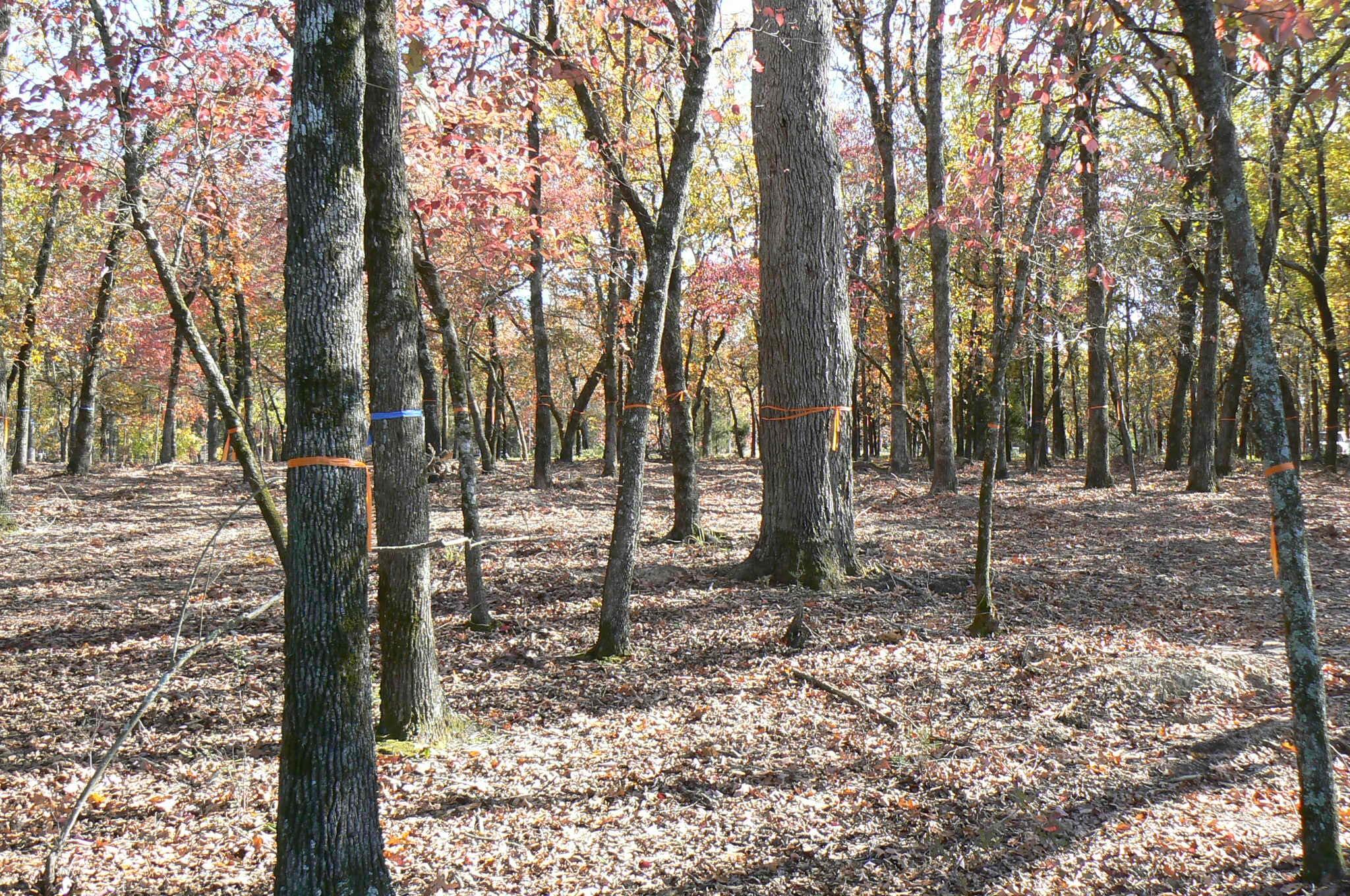 main property photo 20