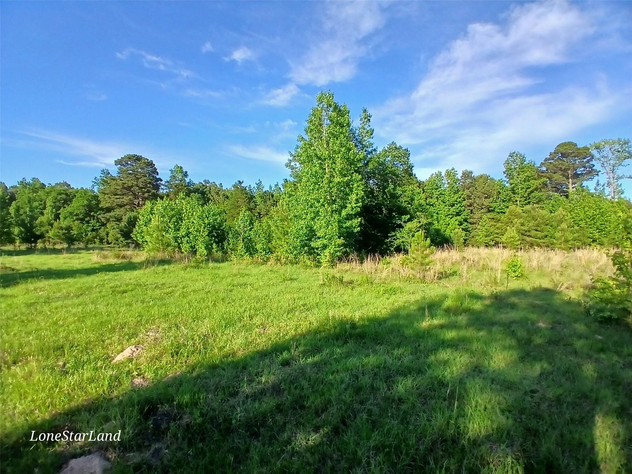 main property photo 17