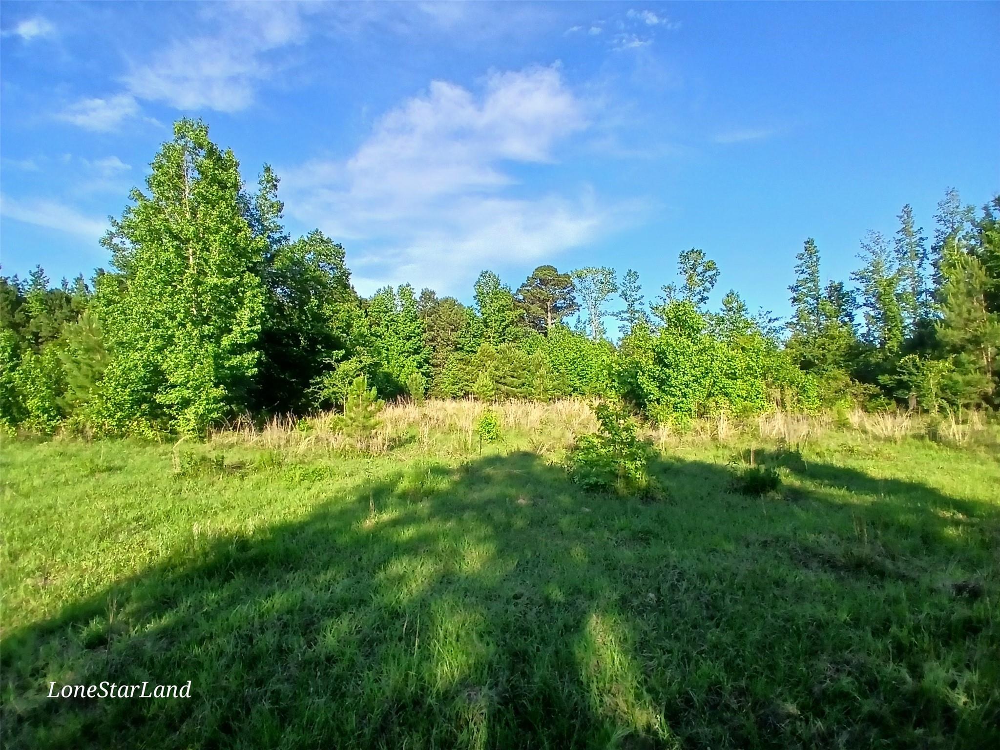 main property photo 18