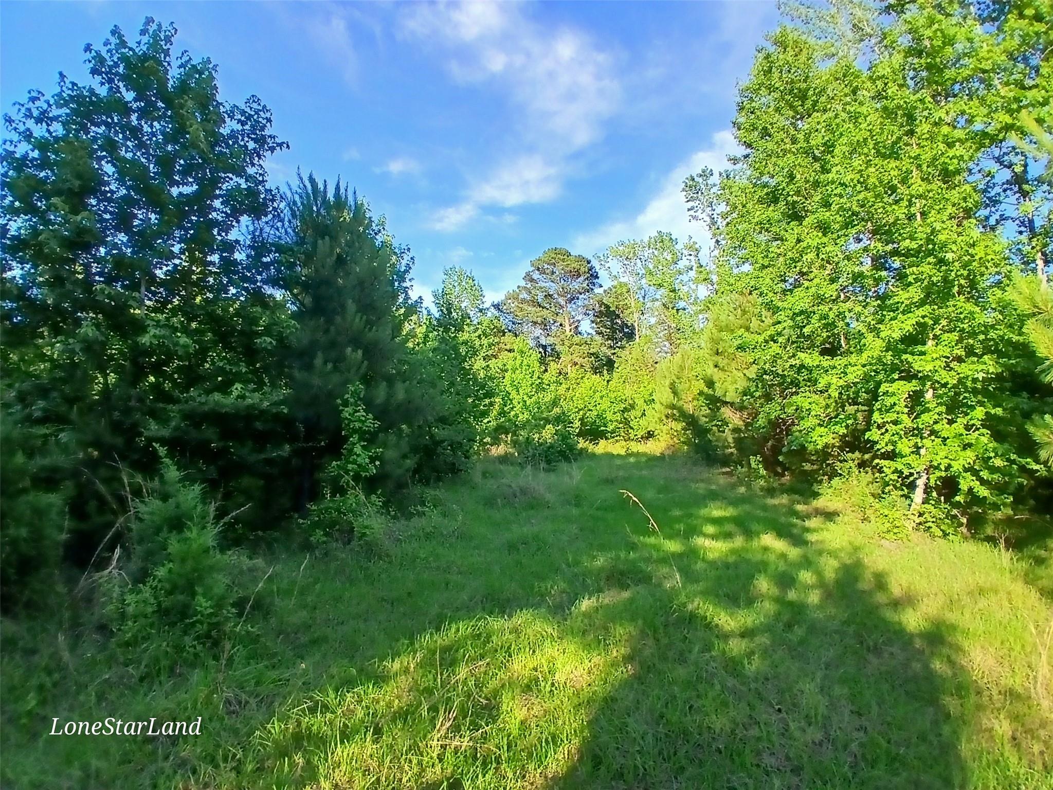main property photo 23