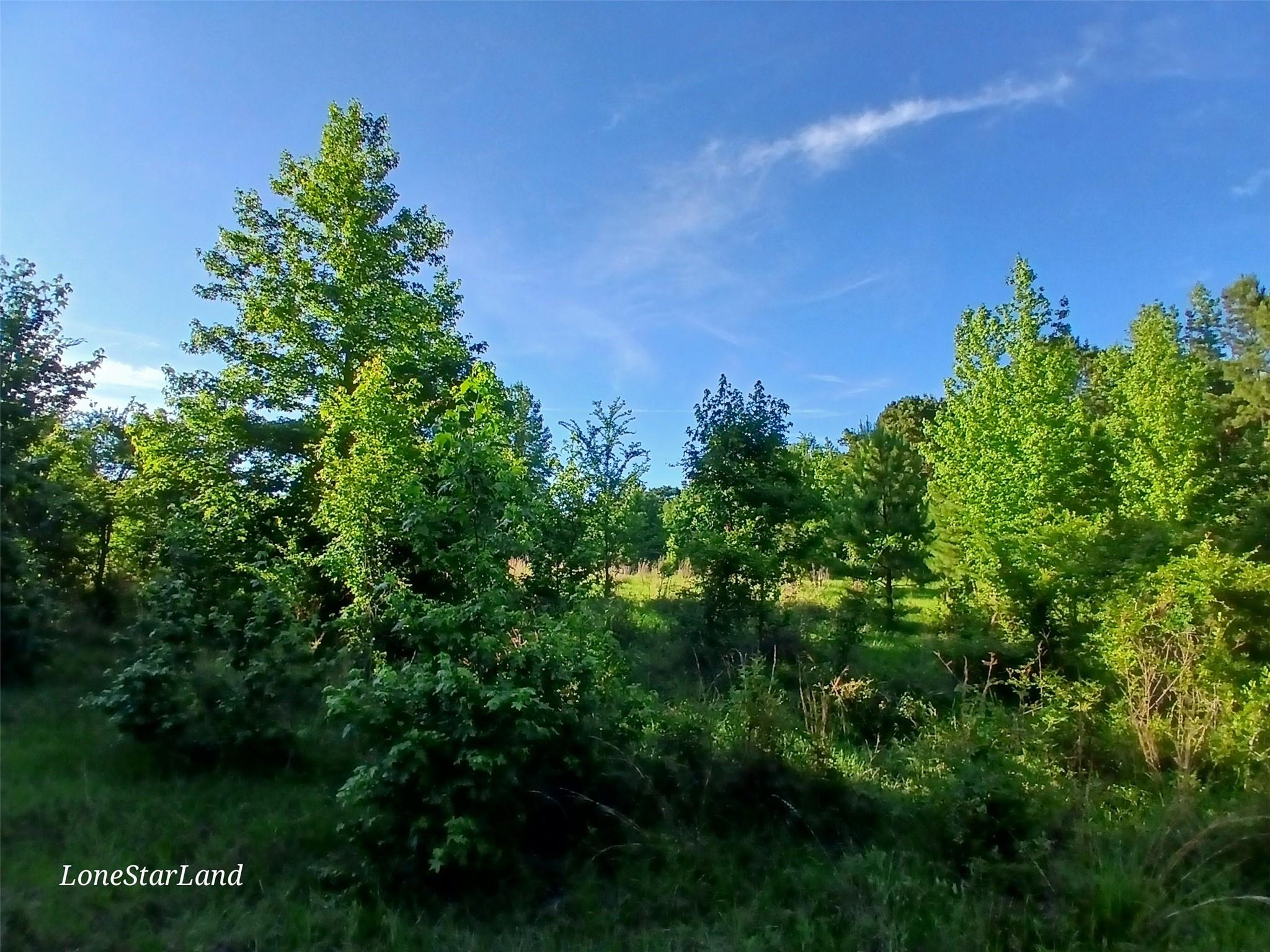 main property photo 24