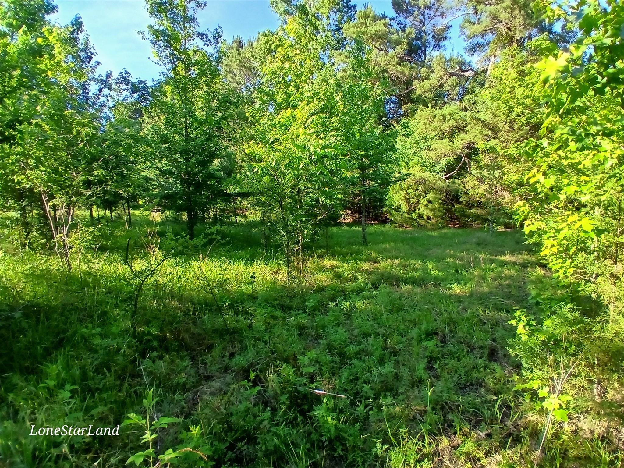main property photo 26
