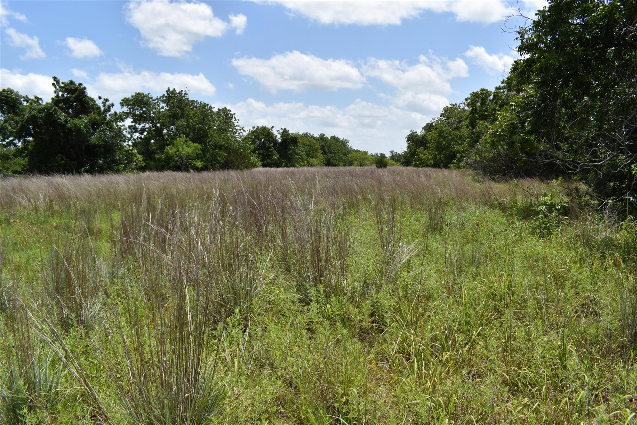 property viewer photo 16