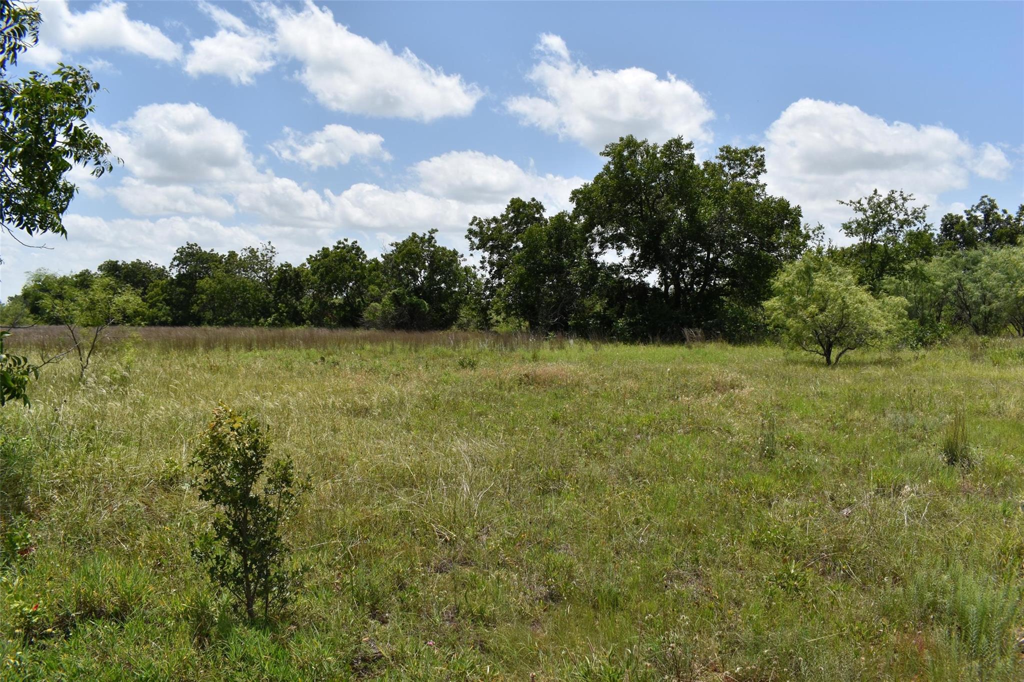 property viewer photo 18