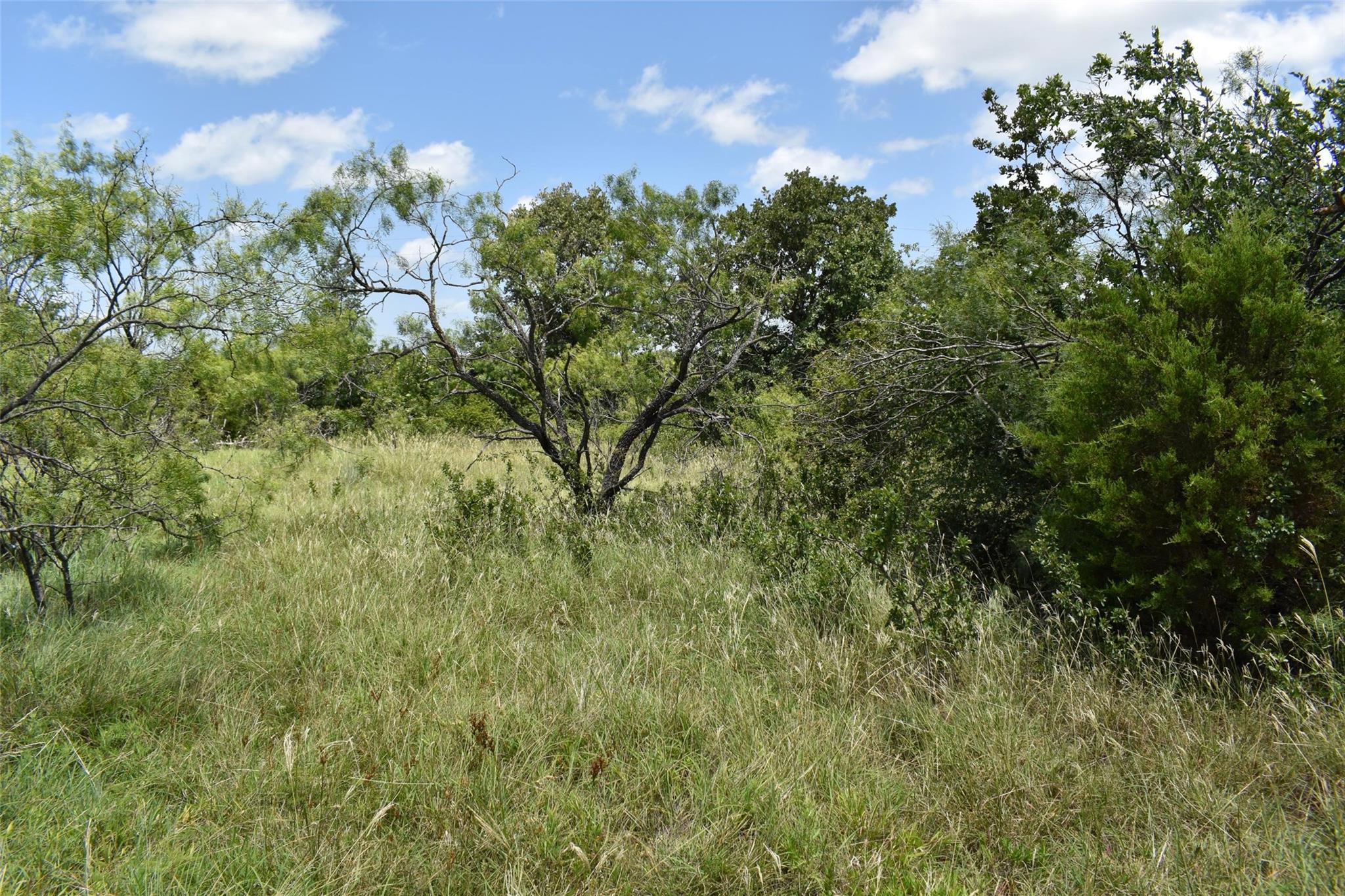 property viewer photo 23
