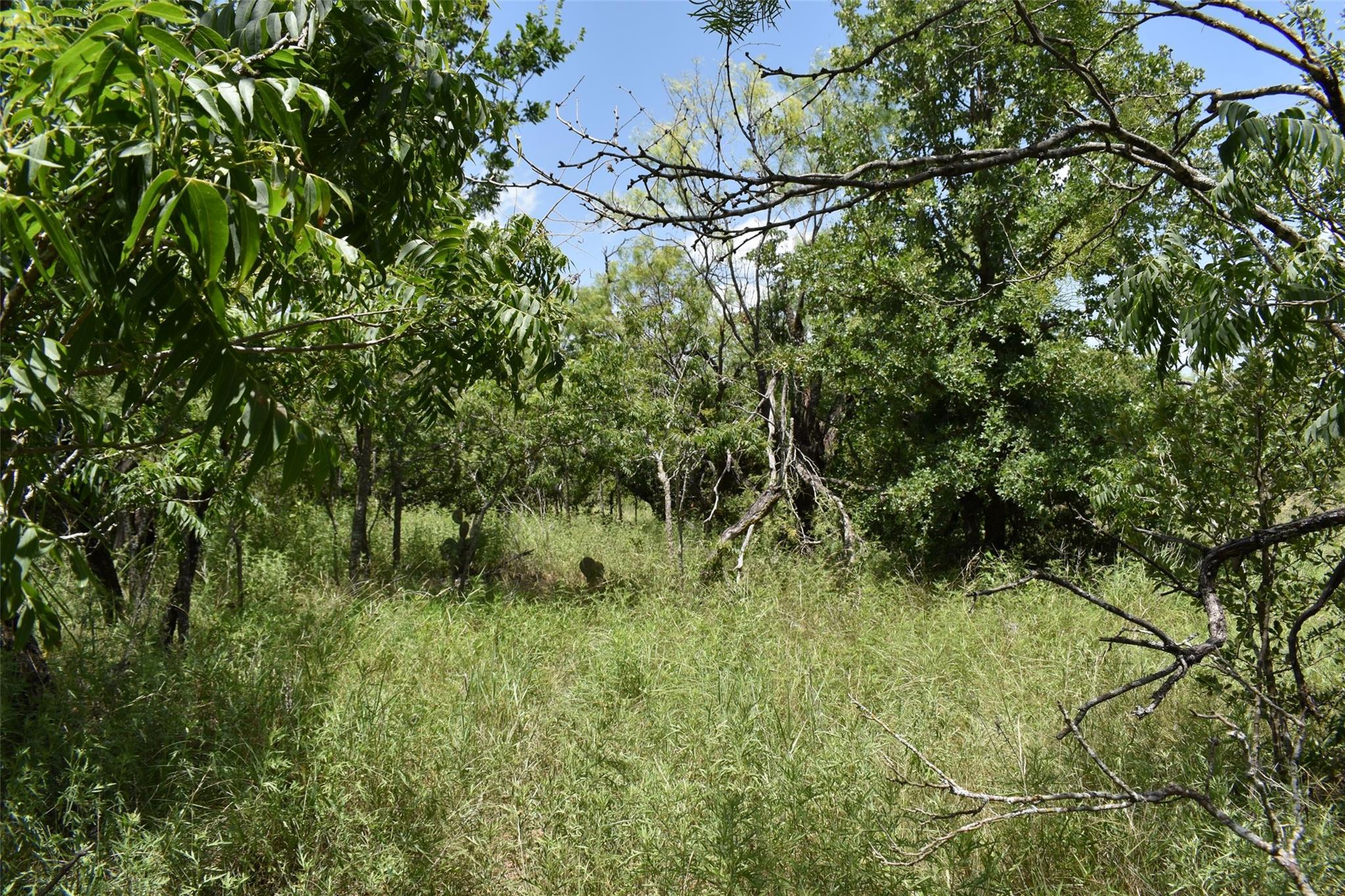 property viewer photo 29
