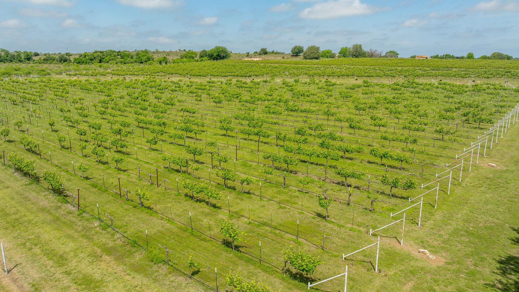main property photo 23