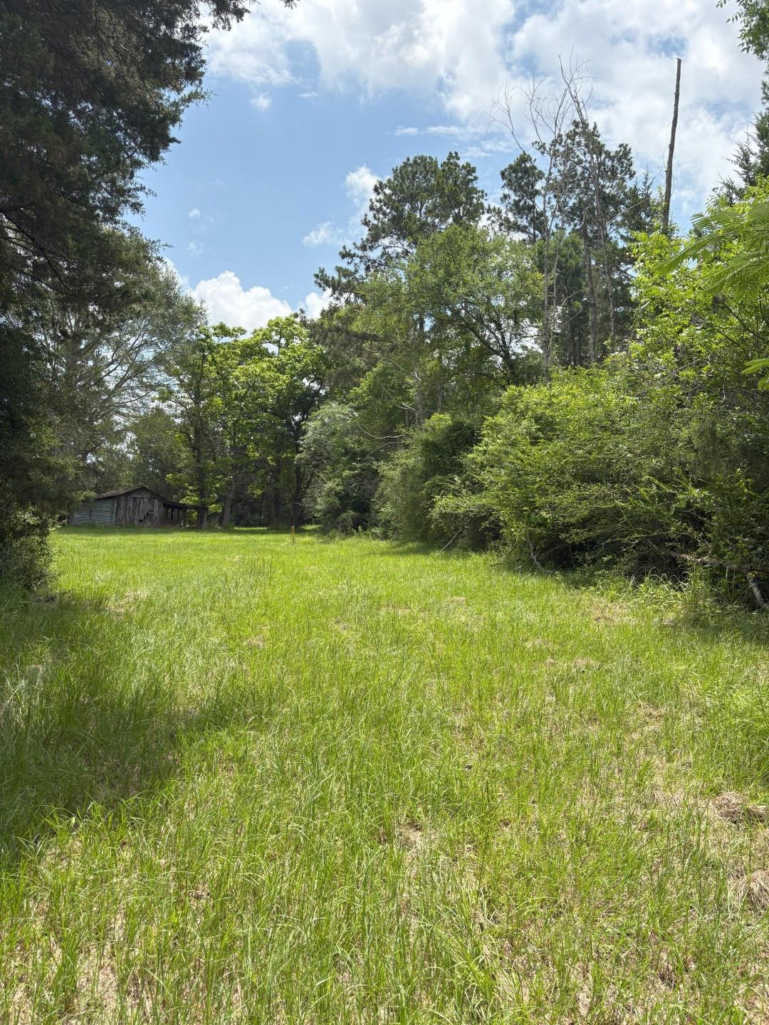 main property photo 11