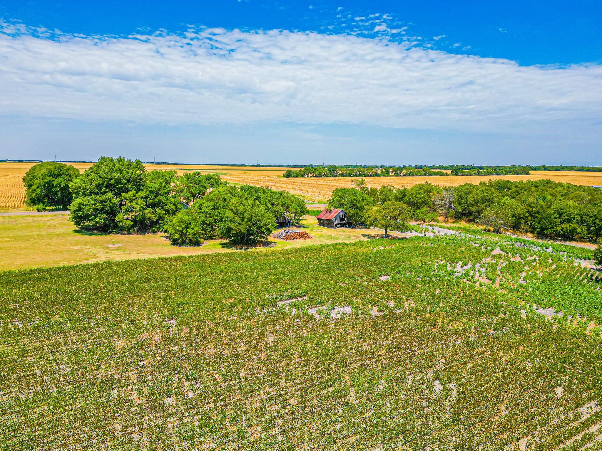 main property photo 27