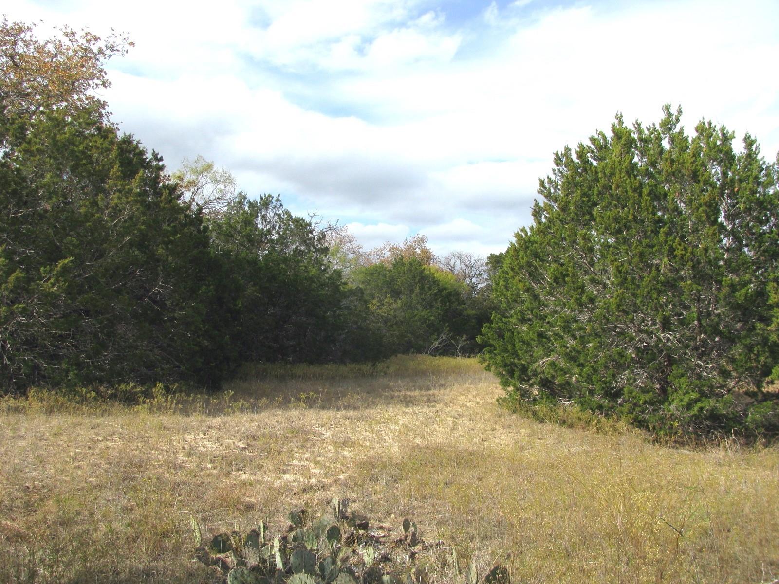 main property photo 19