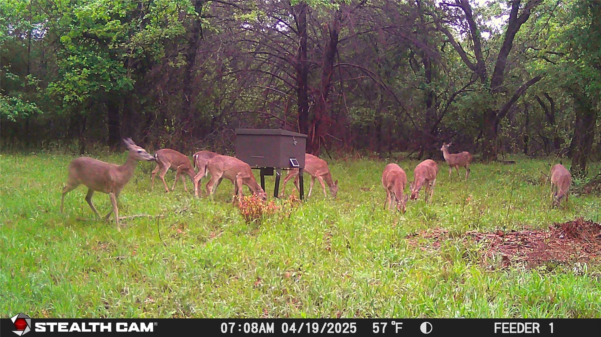main property photo 15