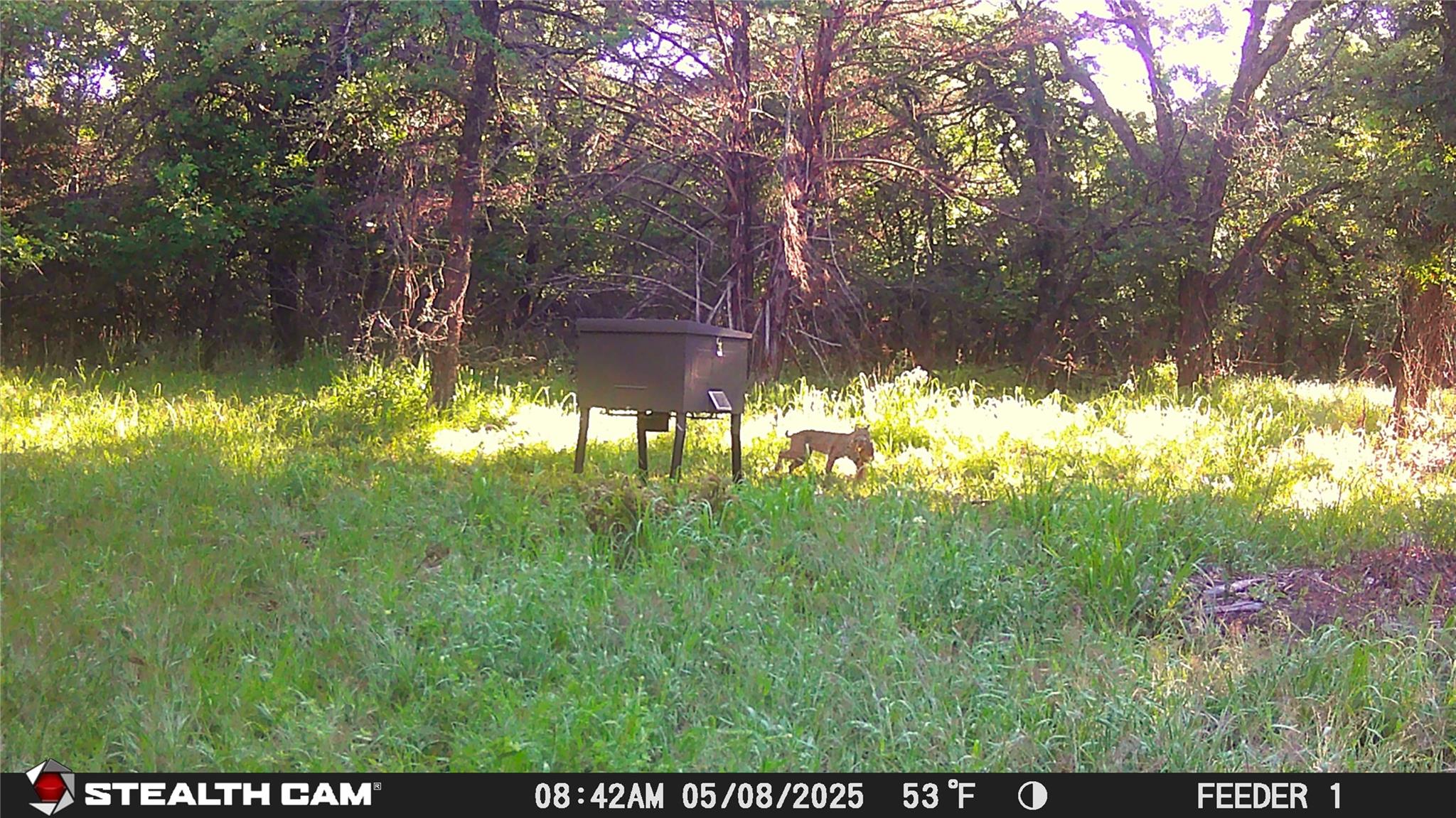 main property photo 19