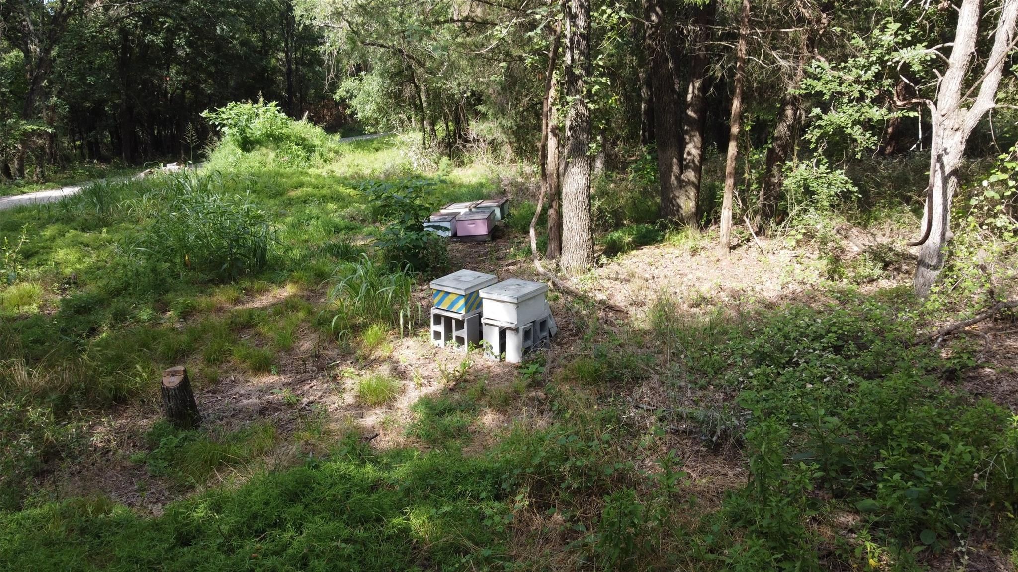 main property photo 7