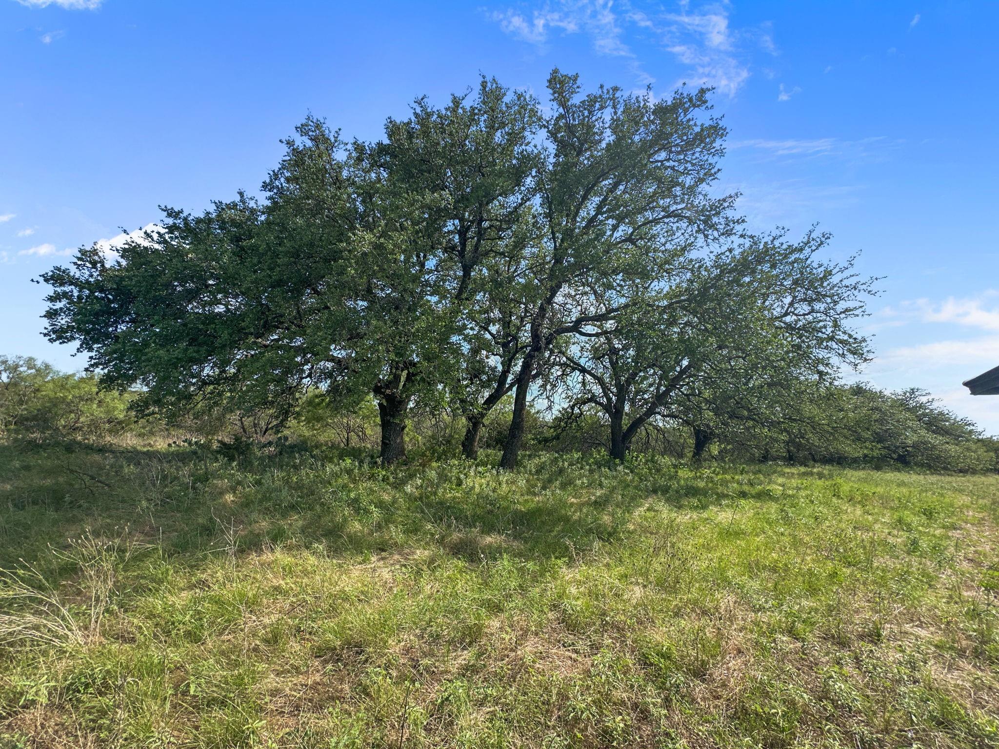 main property photo 25