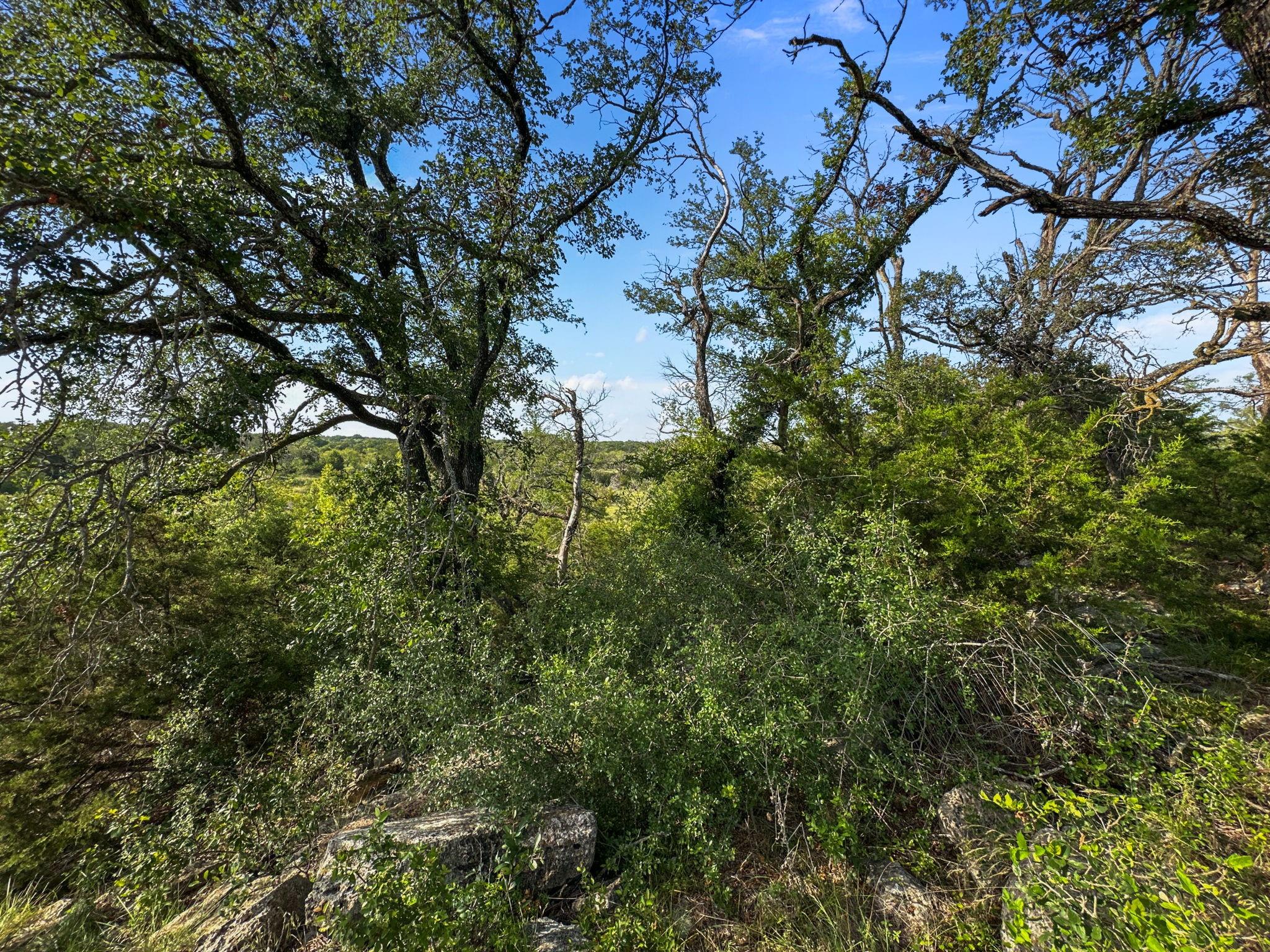 main property photo 28