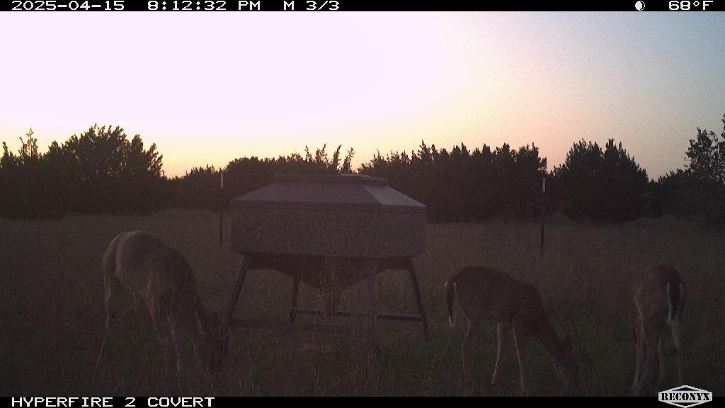main property photo 32