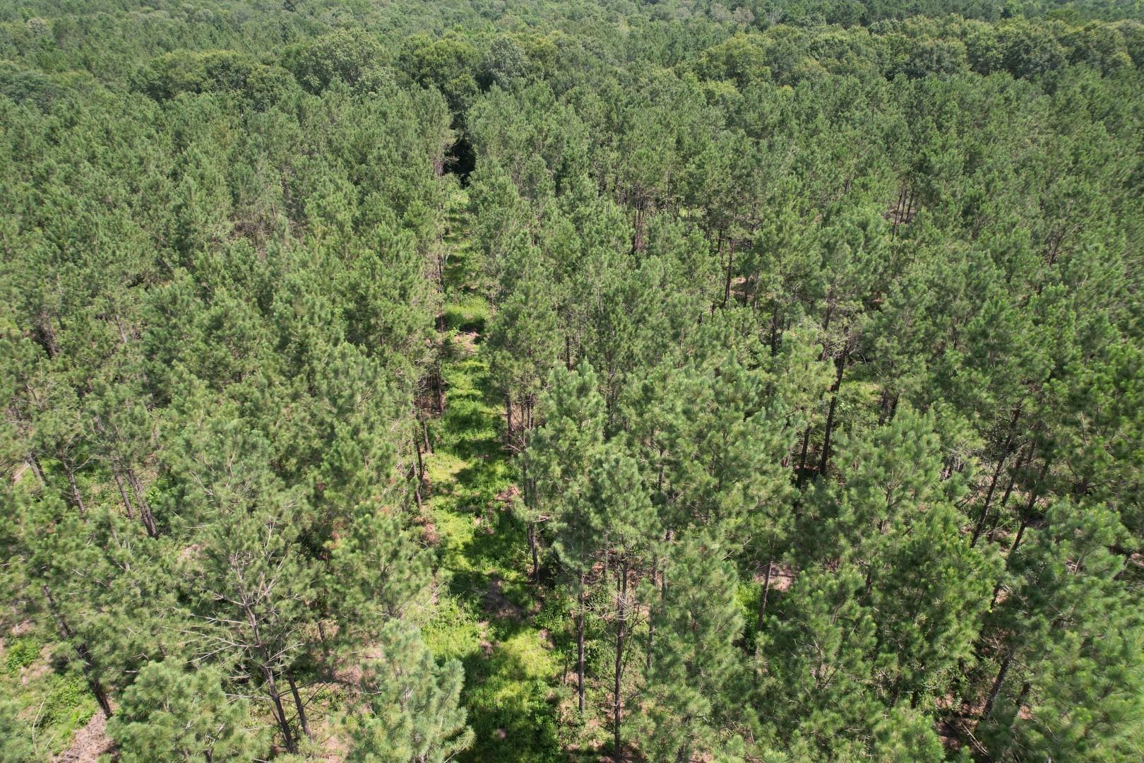main property photo 11