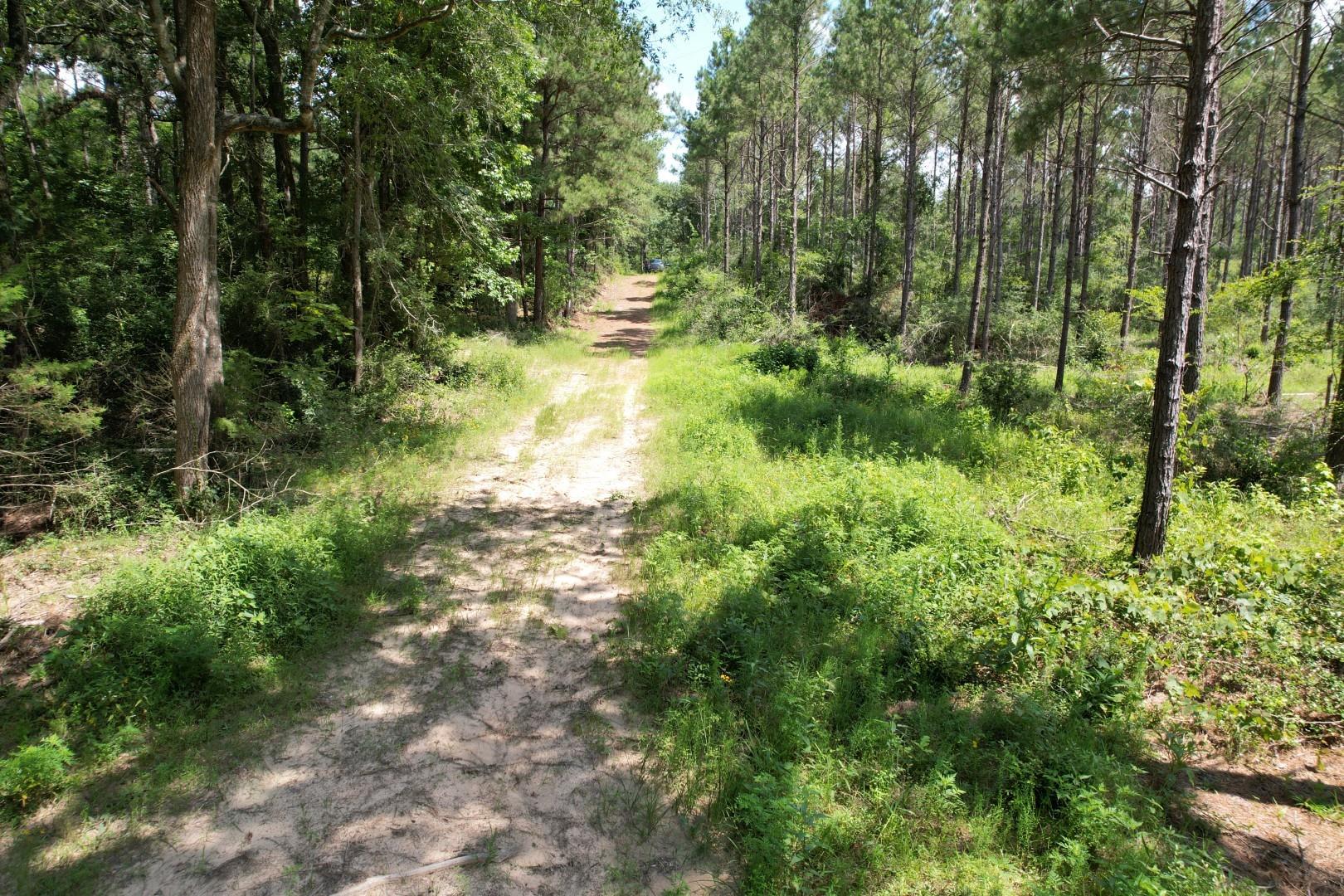 main property photo 18