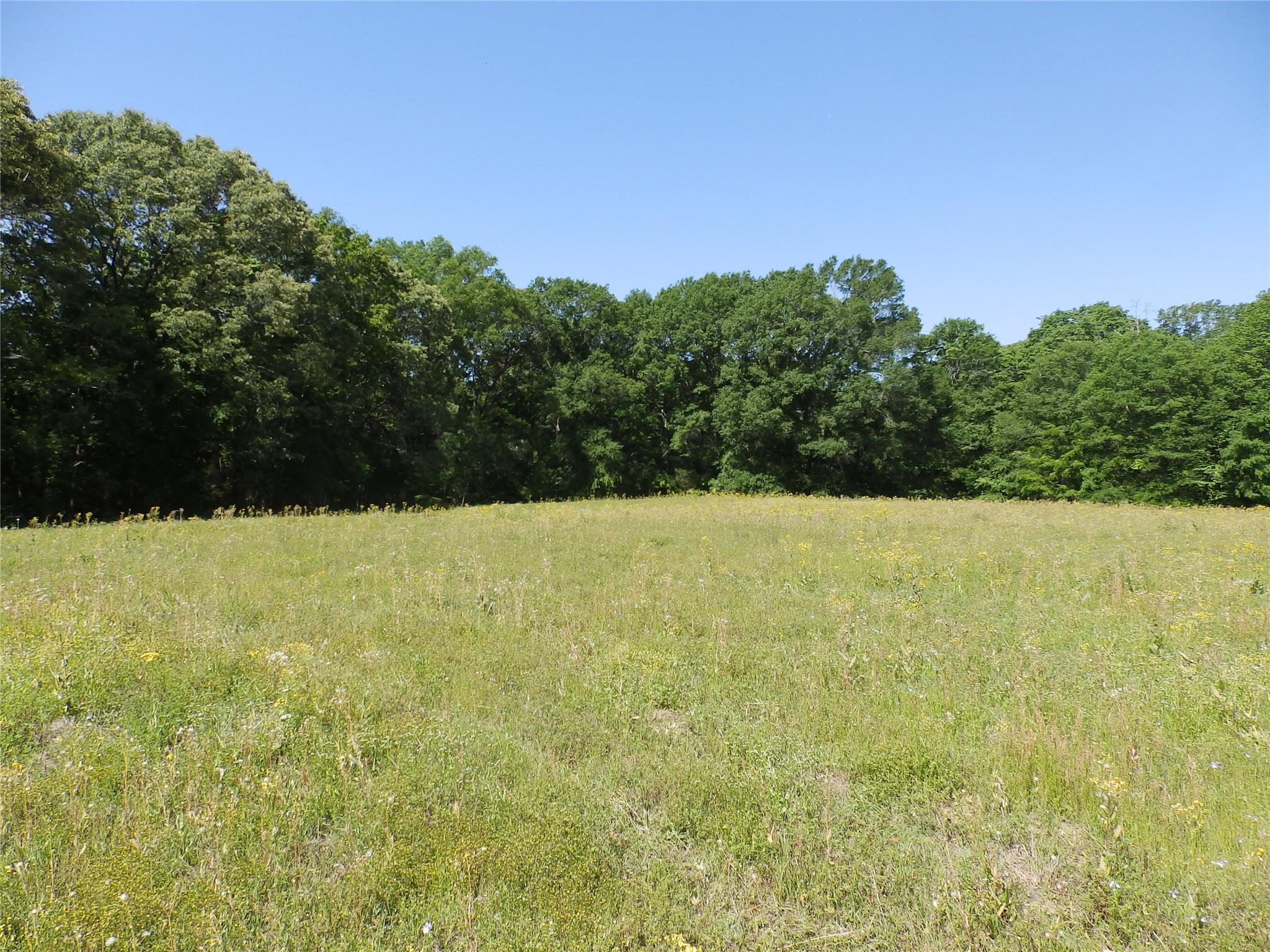 main property photo 10