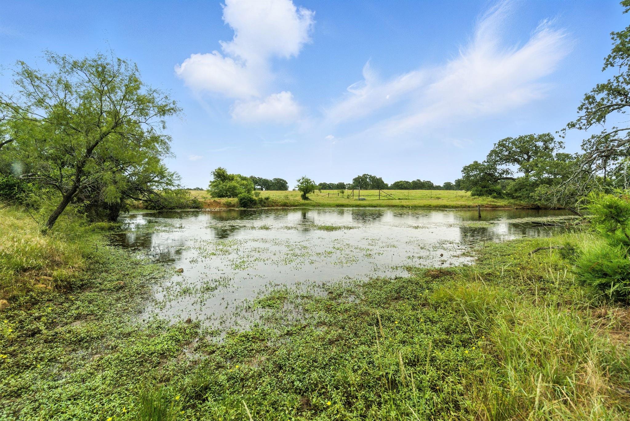 main property photo 13