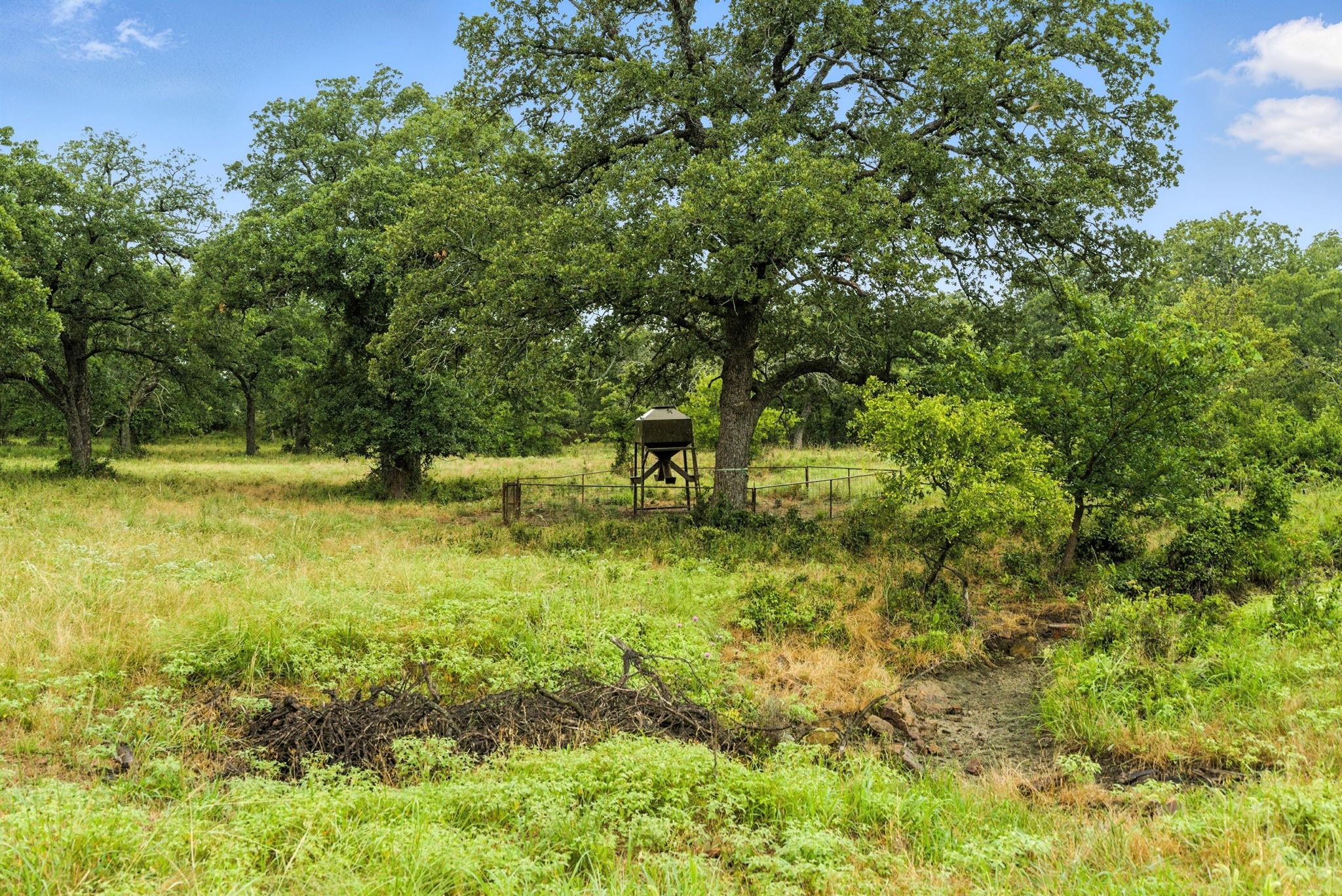 main property photo 19