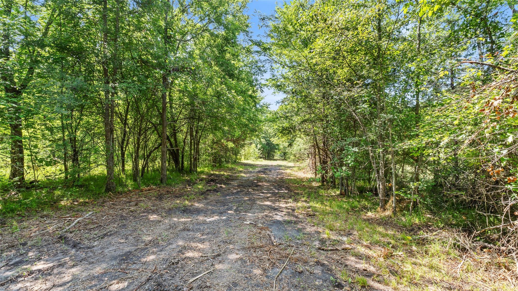 main property photo 25