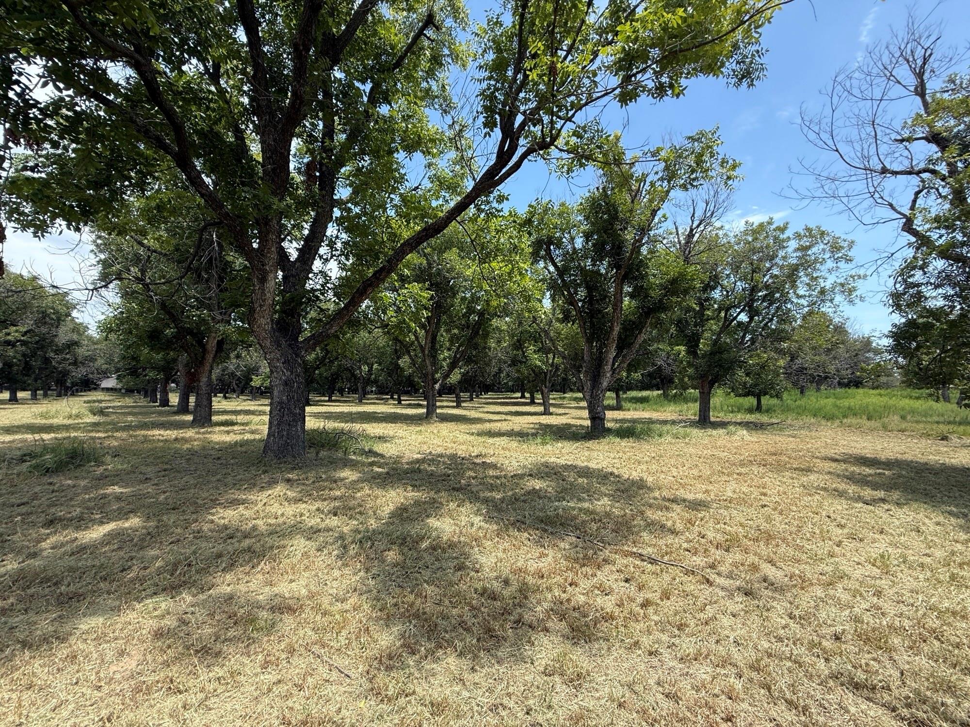 property viewer photo 2