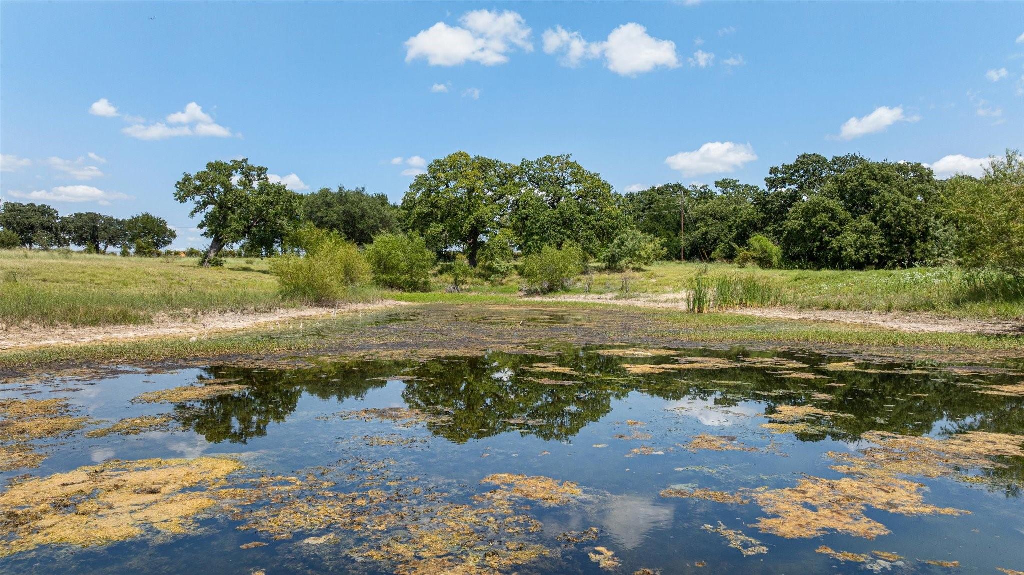 main property photo 10