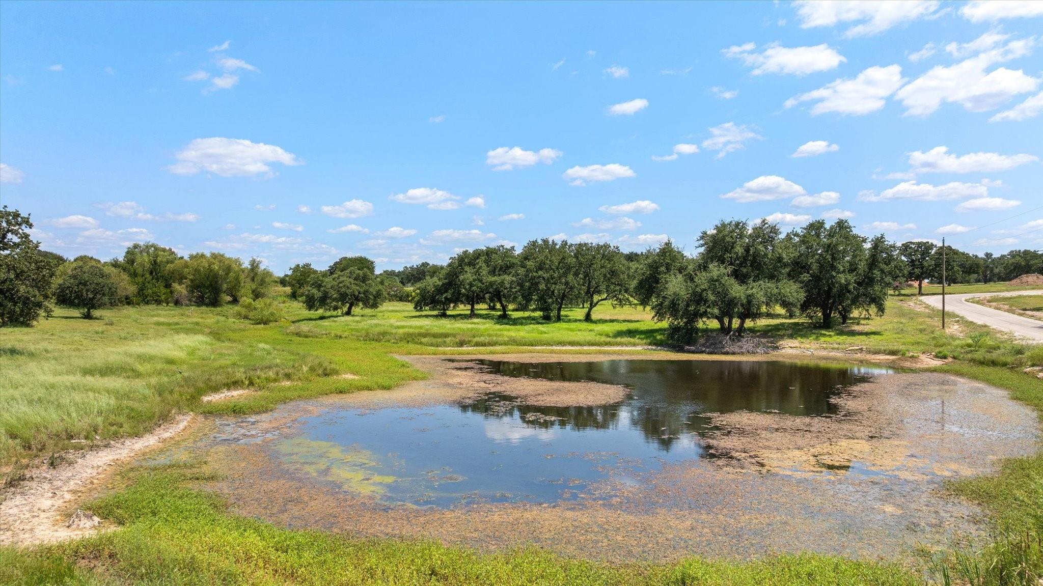 main property photo 16