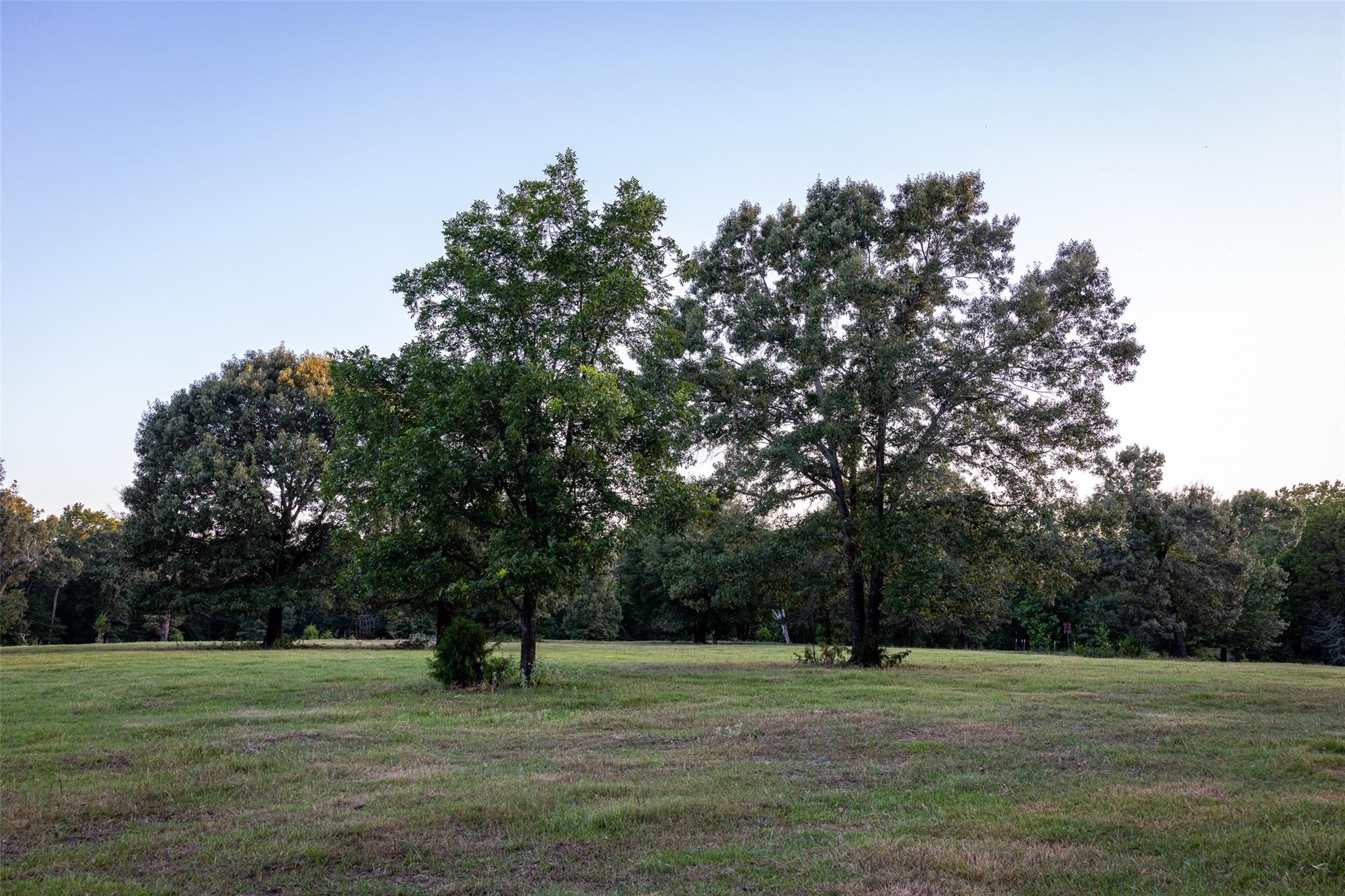 main property photo 37