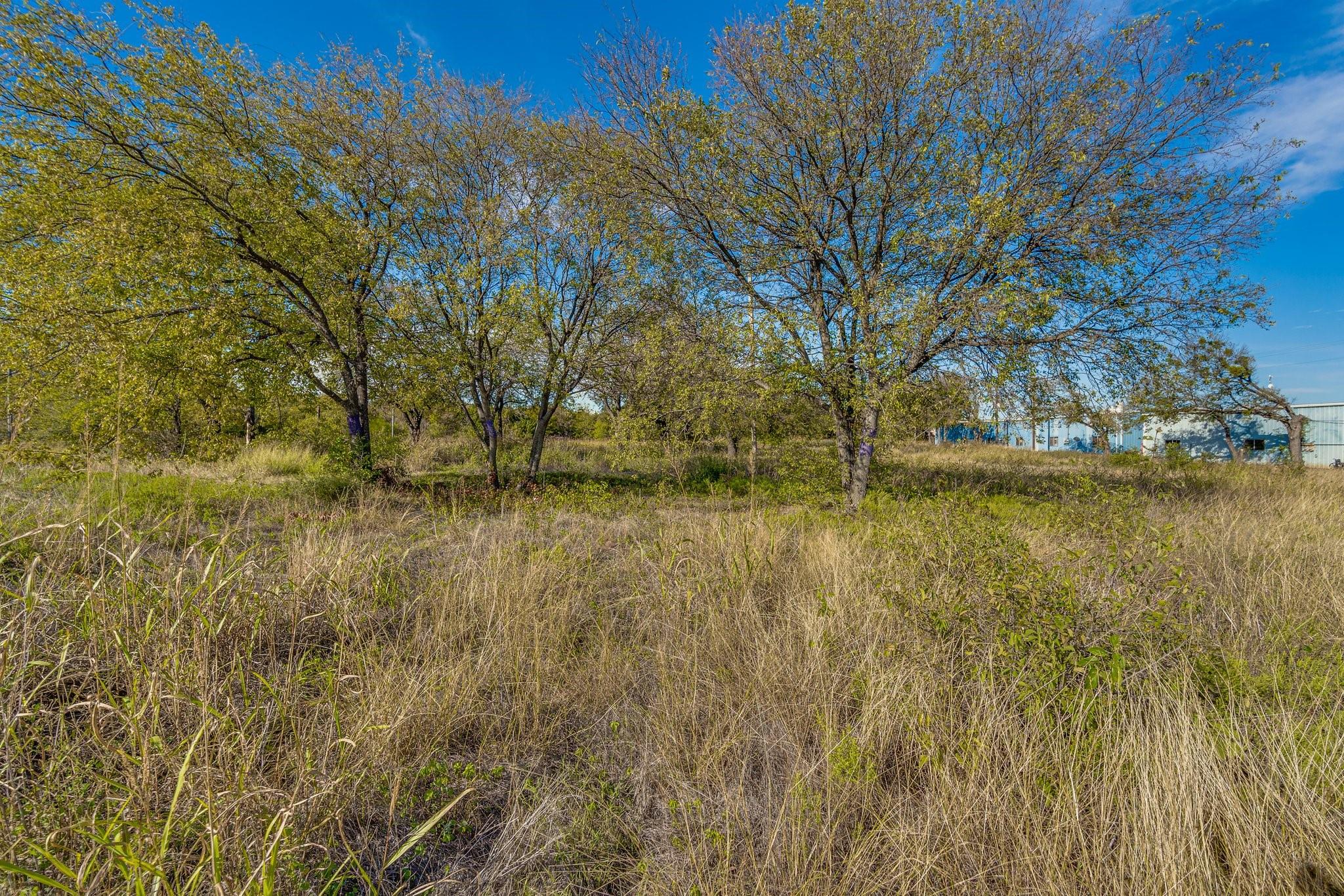 main property photo 13