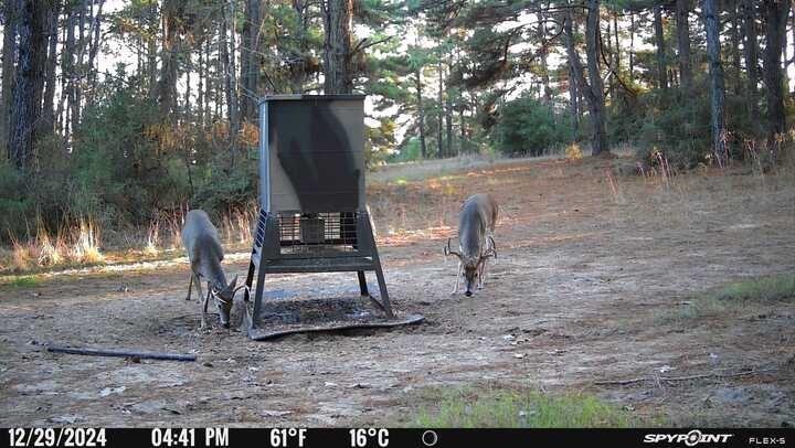 main property photo 16