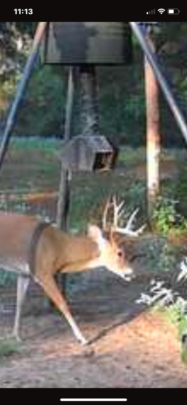main property photo 22