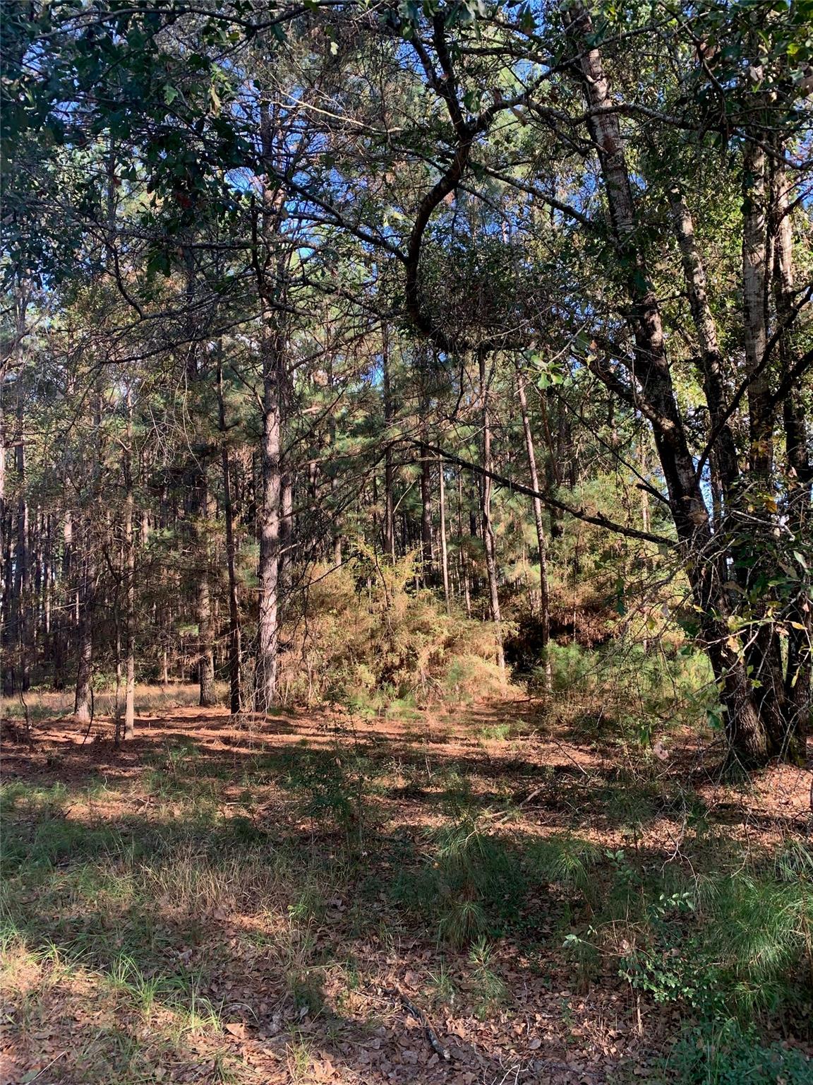 main property photo 39