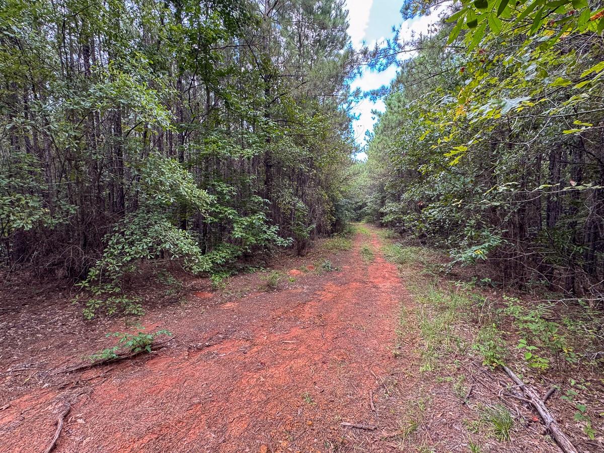 main property photo 14