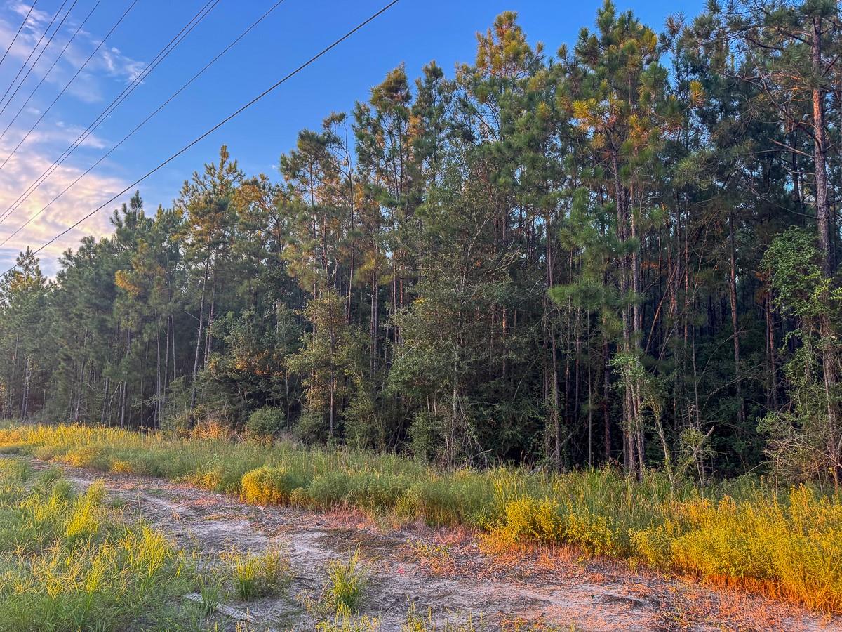 main property photo 7
