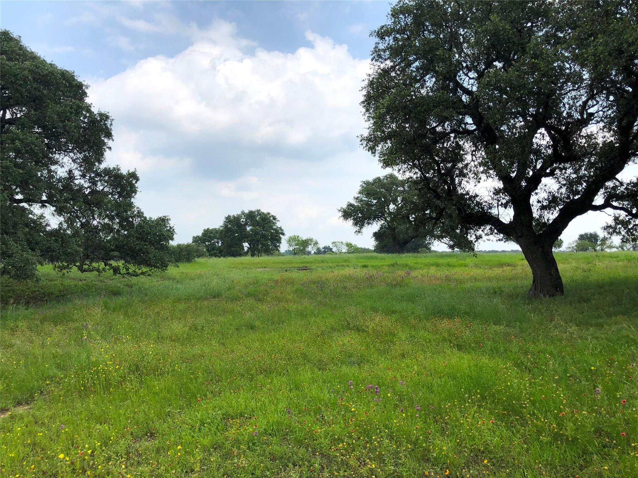 main property photo 11