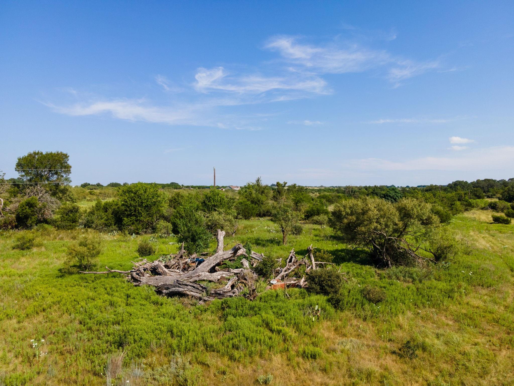 main property photo 10