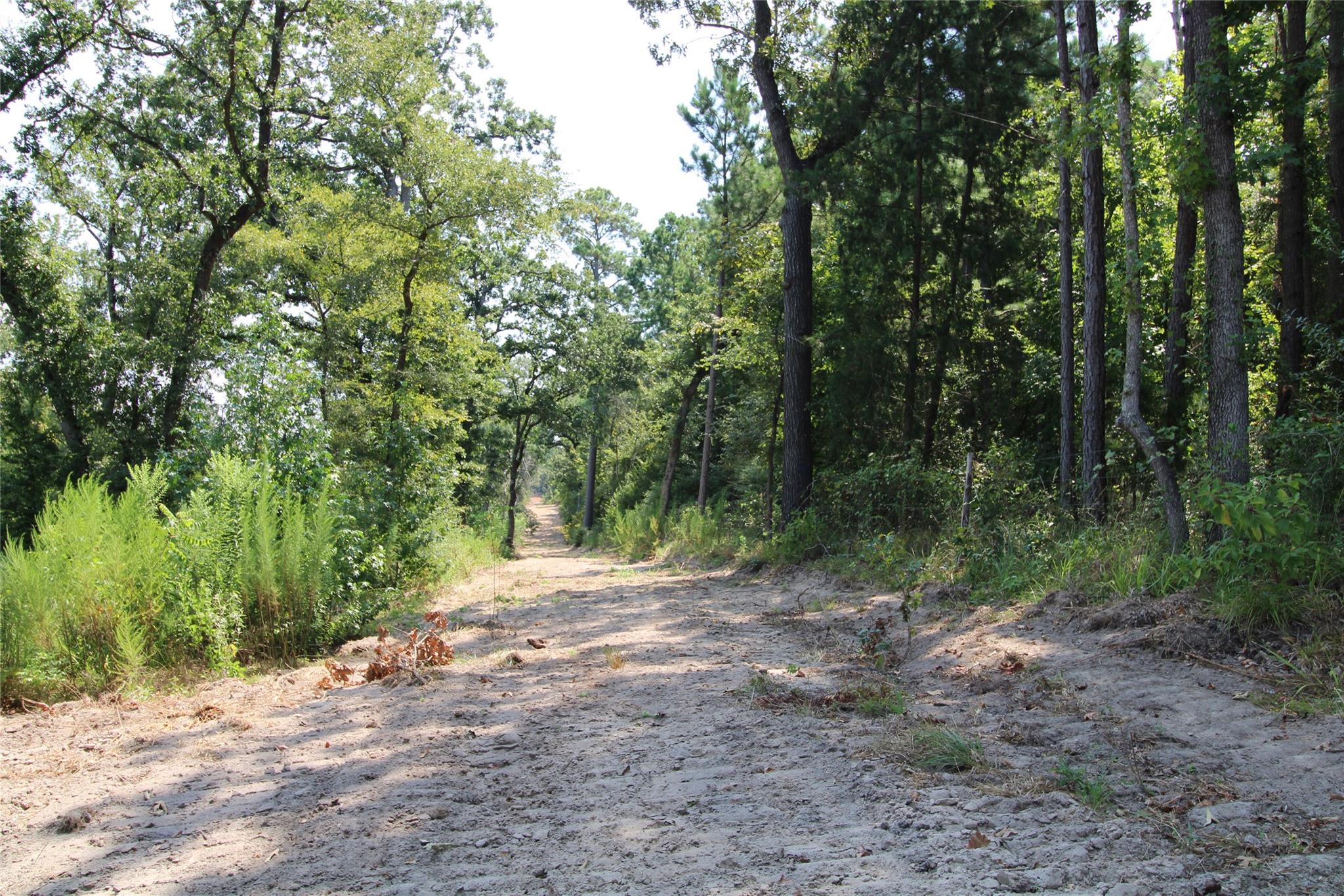 main property photo 9