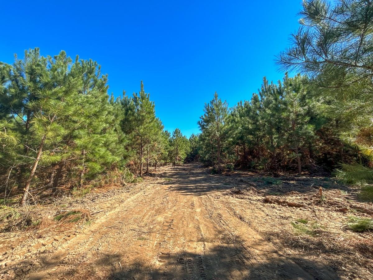 main property photo 9