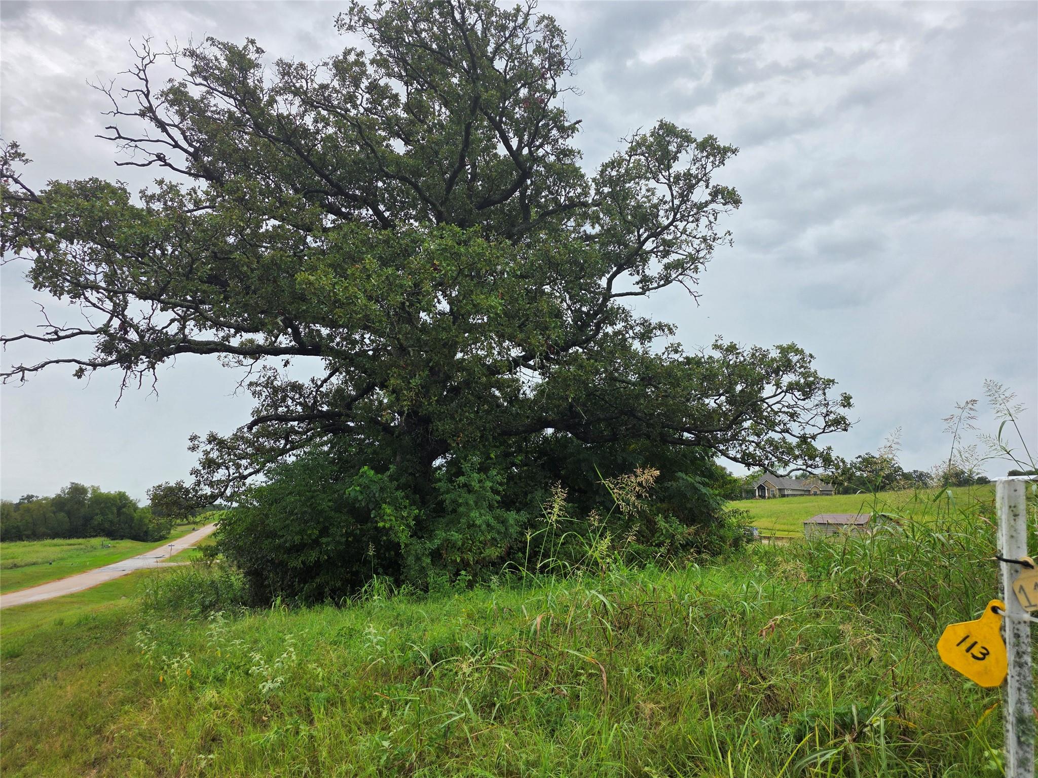main property photo 16
