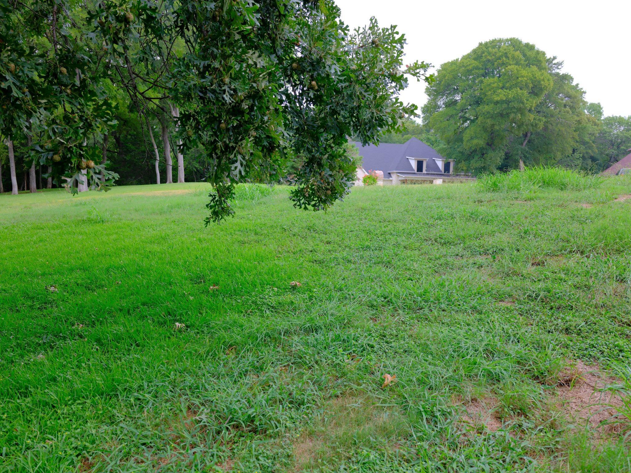 main property photo 23