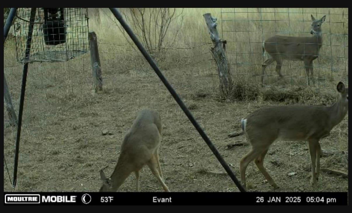 main property photo 21