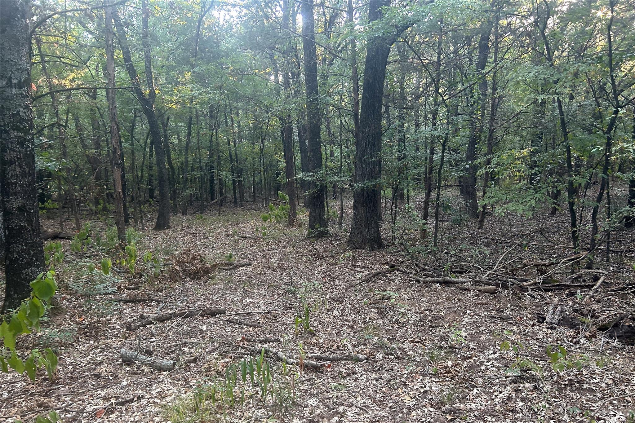 main property photo 10