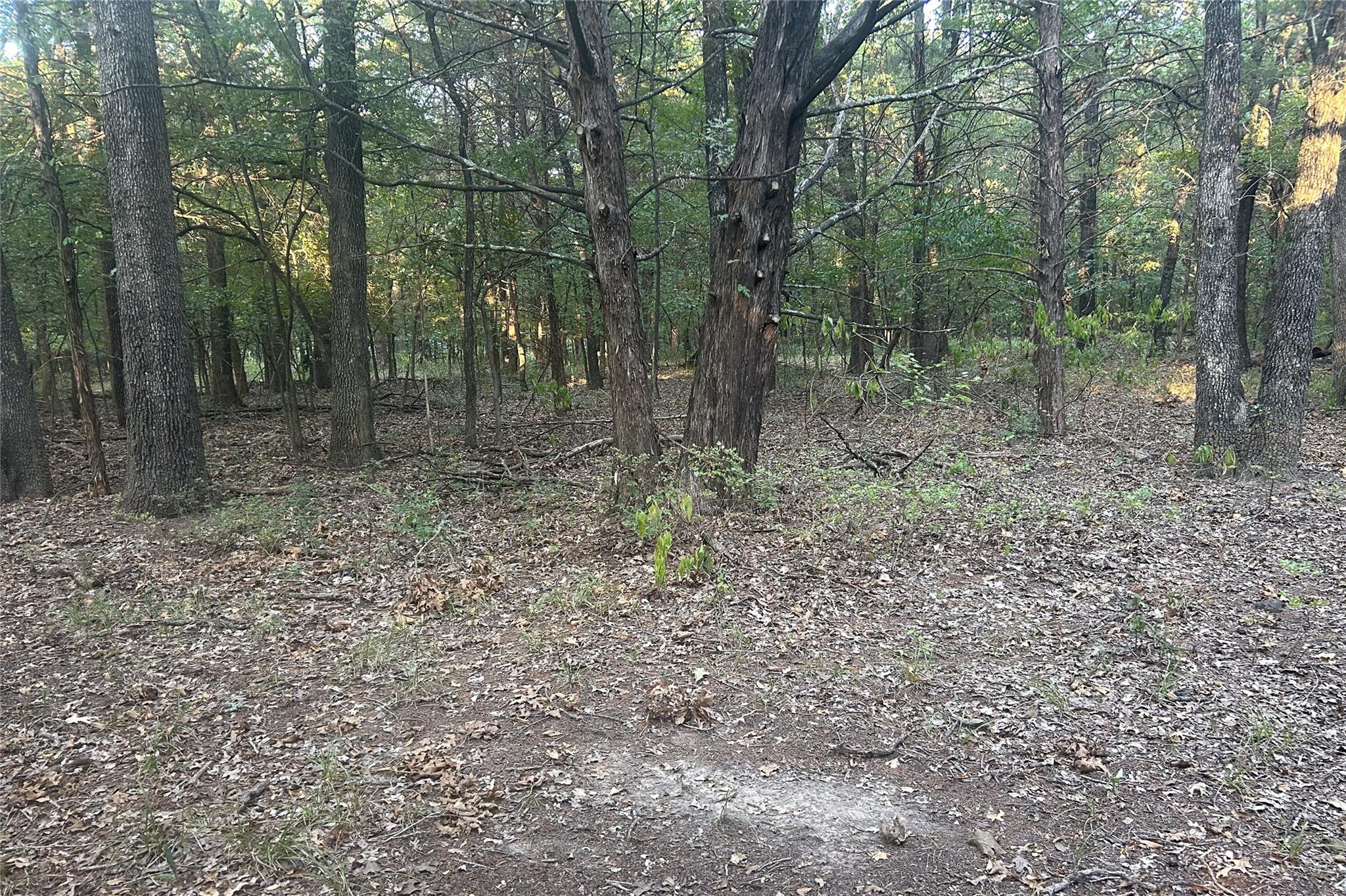 main property photo 13