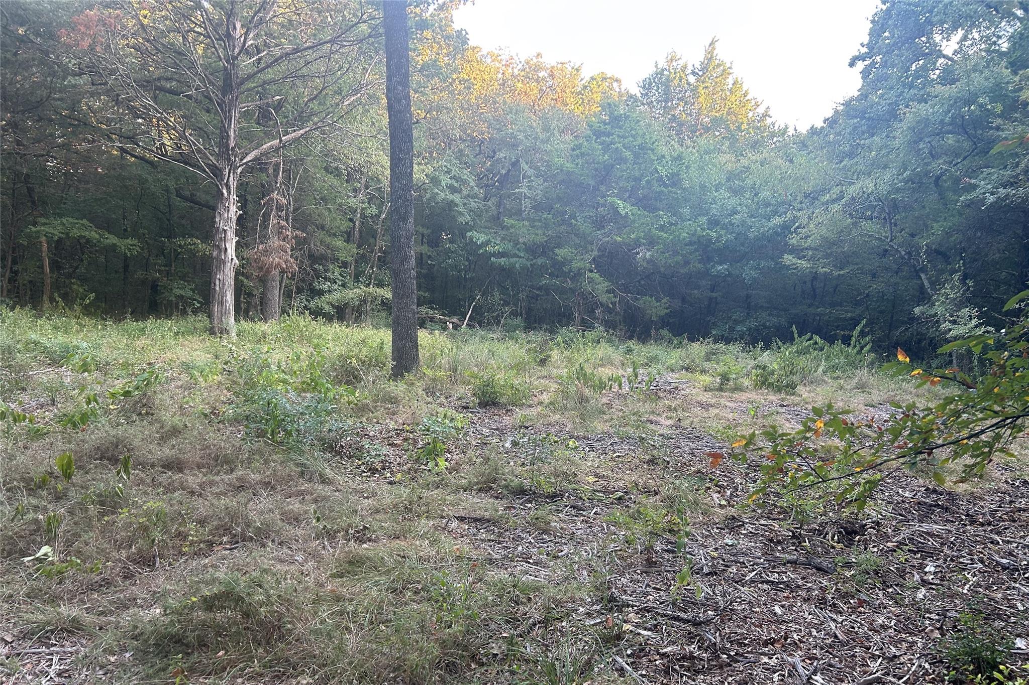main property photo 16