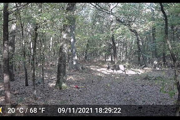 main property photo 25