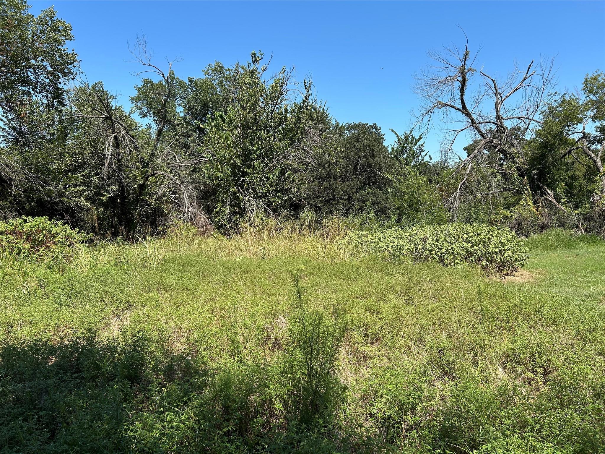 main property photo 10