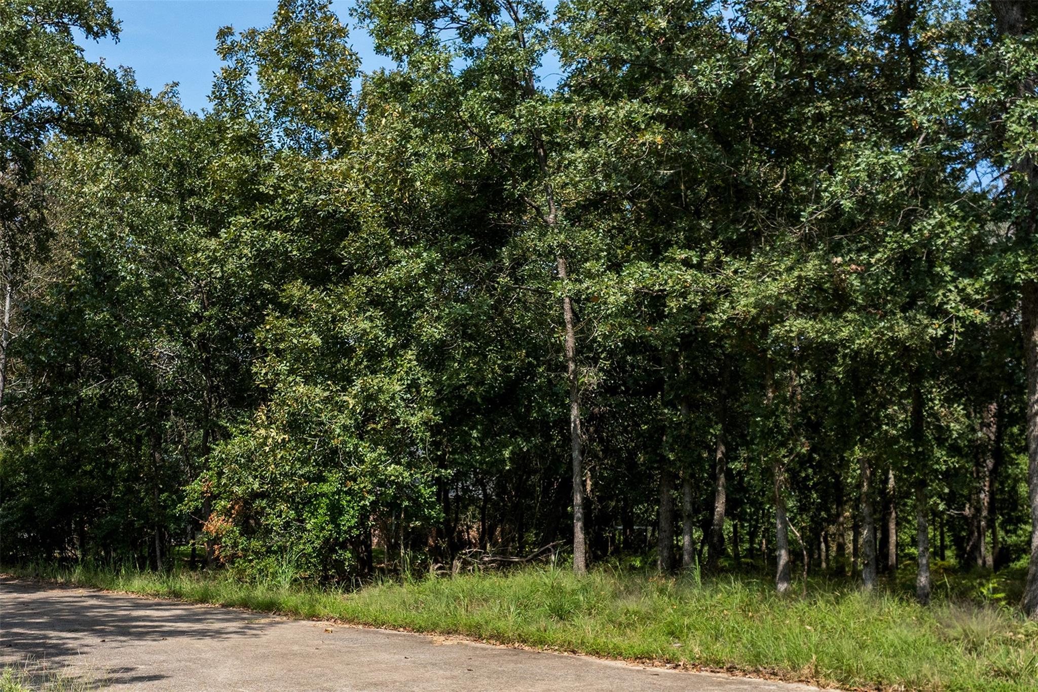 main property photo 22